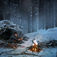 Досягнення Teamwork у грі Rise of the Tomb Raider для Xbox One
