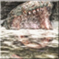 Досягнення Do Not Shoot the Water! у грі Resident Evil 4 (2005) для Xbox 360