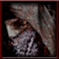 Досягнення Straynja! Uhh... I'll Sell It At a Low Price! у грі Resident Evil 4 (2005) для PS2