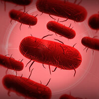 Досягнення Bacteria Master у грі Plague Inc: Evolved для Xbox One