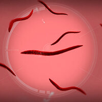 Досягнення Parasite Master у грі Plague Inc: Evolved для Xbox One