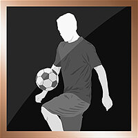 Trofey {trophy} w grze FIFA 14 na PS4