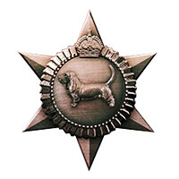 Трофей {trophy} у грі The Testament of Sherlock Holmes для PS3