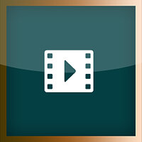 奖杯 {trophy} 在游戏 FIFA Street 上,适用于 PS3