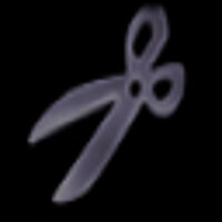 Досягнення The Scissors у грі Harry Potter and the Chamber of Secrets для PS2