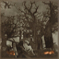 Pencapaian [C2V{XIII}] After the Torching dalam permainan Drakengard untuk PS2