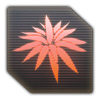 Трофей {trophy} у грі Stranded: Alien Dawn для PS4