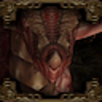Досягнення Through the Fire and the Flames у грі Baldur's Gate: Dark Alliance 2 для PS2