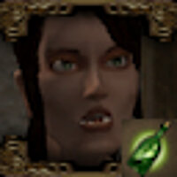 Досягнення Assassin in the City у грі Baldur's Gate: Dark Alliance 2 для PS2