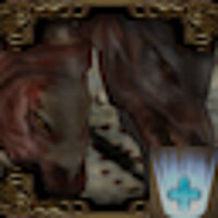 Досягнення Veterinarian Cleric у грі Baldur's Gate: Dark Alliance 2 для PS2