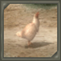 Досягнення Cluck Cluck у грі Valkyrie Profile 2: Silmeria для PS2