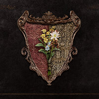 Досягнення The Philanthropist у грі Dragon's Dogma 2 для Xbox Series