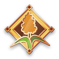 奖杯 {trophy} 在游戏 Farming Simulator 22 上,适用于 PS4