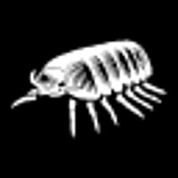 Досягнення Keep rollin', rollin', rollin', rollin' у грі Empire of the Ants для GOG