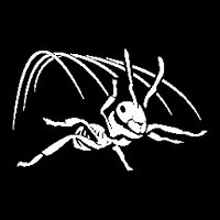 Досягнення Terminal Velocity у грі Empire of the Ants для Steam