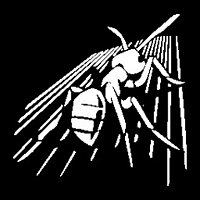 Досягнення This is a mar-Ant-hon у грі Empire of the Ants для Steam