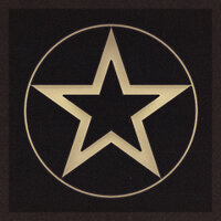Досягнення Revolutionary Generation у грі Suzerain для iOS