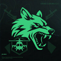 Досягнення D-wolf - Operations у грі Delta Force для Steam