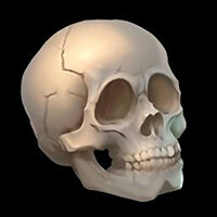 Досягнення Skull and Bones у грі Luma Island для Steam