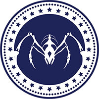 Трофей {trophy} у грі Tandem: A Tale of Shadows для PS4
