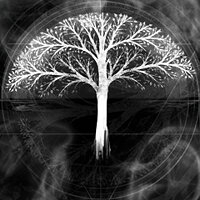 Трофей {trophy} у грі Salt and Sanctuary для PS4