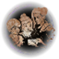 Трофей {trophy} у грі Forspoken для Epic