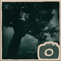 Trofey {trophy} w grze Adorable Adventures na PS5