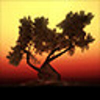 Досягнення Hummed of Mystery у грі The First Tree для GOG