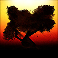 Трофей {trophy} у грі The First Tree для PS4
