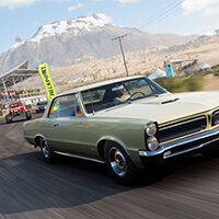 Досягнення Seasoned Veteran у грі Forza Horizon 5 для Steam