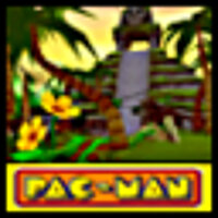 Досягнення Letter Hunt - Jungle Safari у грі Pac-Man World Rally для PSP