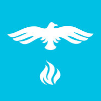 Досягнення Phoenix у грі Football Manager Touch 2018 для Google Play