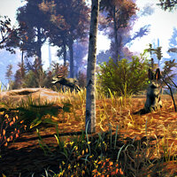 Conquista Not Eating That no jogo Open Country para Xbox One