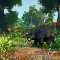 Conquista All Summer Animals…Check no jogo Open Country para Xbox One