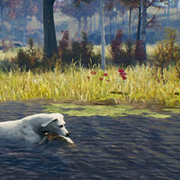 Conquista Good Boy! no jogo Open Country para Xbox One