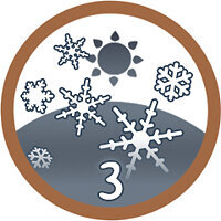 Troféu {trophy} no jogo Open Country para PS4