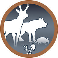 Troféu {trophy} no jogo Open Country para PS4