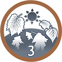 Troféu {trophy} no jogo Open Country para PS4