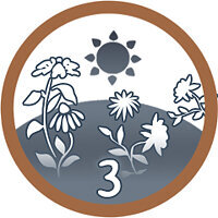 Troféu {trophy} no jogo Open Country para PS4