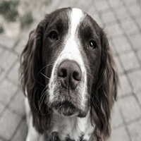 Досягнення Heartbeat Sensor у грі An Airport for Aliens Currently Run by Dogs для Steam