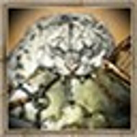 Досягнення Svarog the Mighty у грі Mount & Blade: Warband для Steam