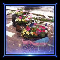 Досягнення Midgar Full of Flowers у грі Crisis Core: Final Fantasy VII Reunion для Xbox One, Xbox Series