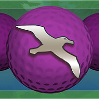 Досягнення Nice shot! у грі Golf With Your Friends для Windows 10