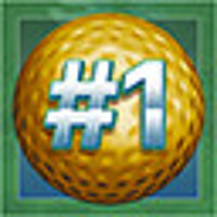 Досягнення Hole in one! у грі Golf With Your Friends для Steam