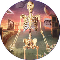 Досягнення A Skeleton in the Closet у грі Mushroom Age для Google Play