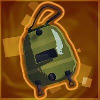 Досягнення Warm For Life у грі Risk of Rain 2 для Steam