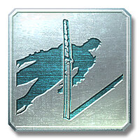 Трофей {trophy} у грі Metal Gear Rising: Revengeance для PS3
