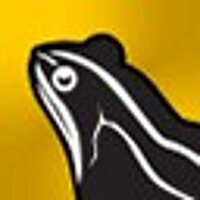 Досягнення Green as grass у грі Russian Fishing 4 для Steam