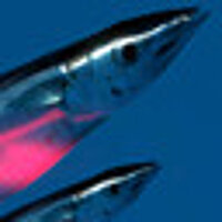 Досягнення Sanma Festival у грі Ace of Seafood для Steam