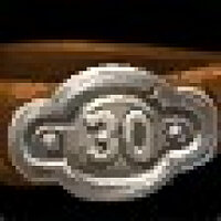 Досягнення Level 30 у грі World of Warcraft для Blizzard